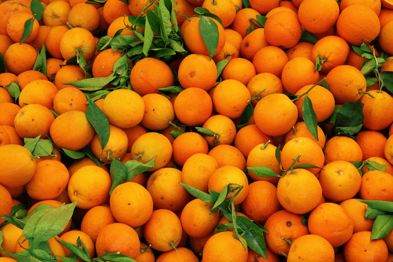 Как собирают апельсины и делают из них сок